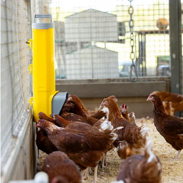 Bainbridge Chook Tower - Feeder - Bainbridge NZ